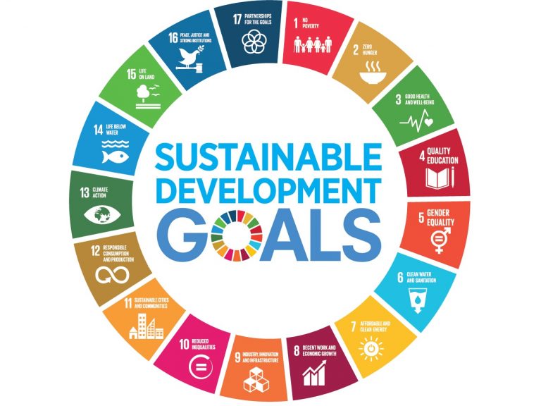 sustainable development goals methodology